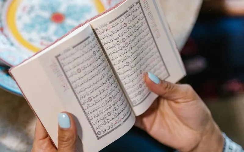 image_68c9bfcee84b51.84670568