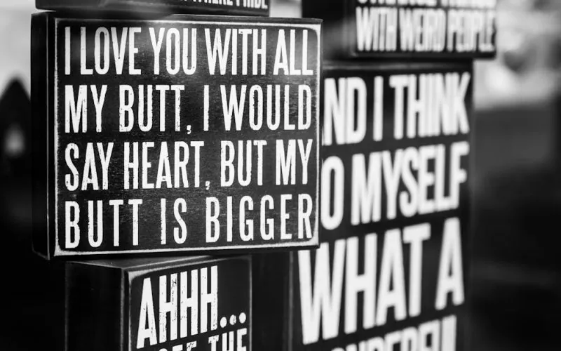 image_68c9bfd95595f8.72070210